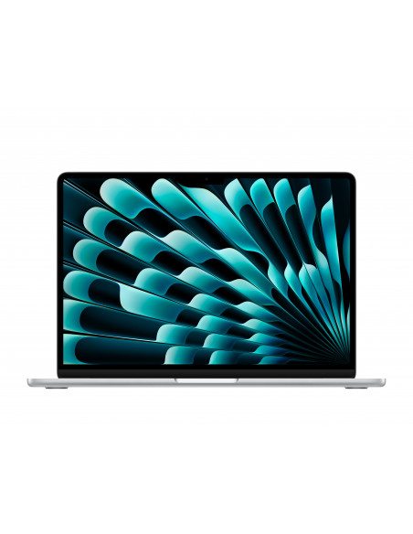13-inch MacBook Air: Apple M4 chip with 10-core CPU and 8-core GPU, 16GB, 256GB SSD